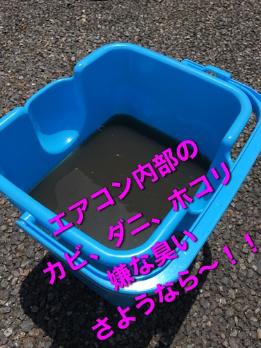 F0AE0AB3-5C35-4631-AF3C-CCDC22DD787F